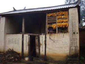 鳳慶縣洛黨鎮太平寺村委會箐頭自然村