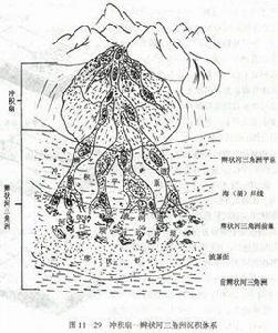 辮狀河三角洲