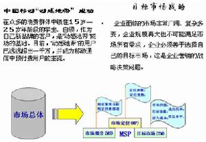 跟進型市場戰略