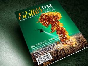 DM雜誌