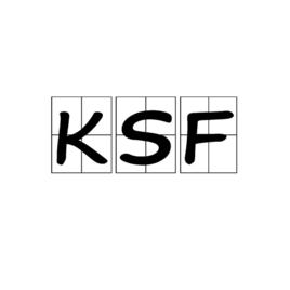 KSF[關鍵成功因素分析法]