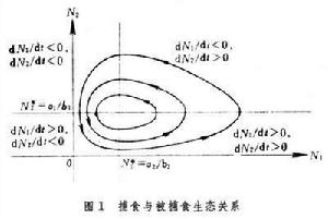 生物數學