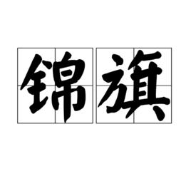 錦旗[詞語]