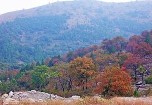 安徽皇藏峪國家森林公園