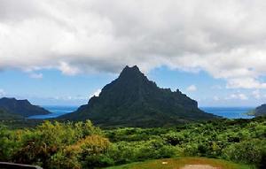 茉莉雅島