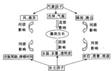 圖3 水文氣象因子和藻類生長的關係