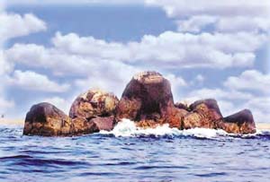 大洲島國家級海洋生態自然保護區