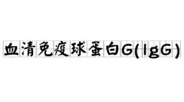 血清免疫球蛋白G(IgG)