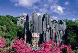 雲南石林世界地質公園