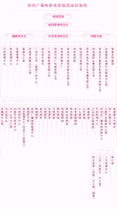 深圳廣播電影電視集團——組織機構