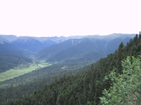 西藏林芝高山森林生態系統國家野外科學觀測研究站