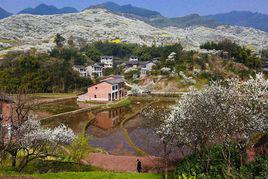 河灣村[四川省​達州市達川區黃都鄉河灣村]