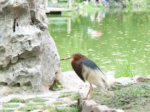 上海閘北公園