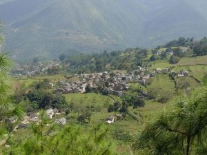 平掌下村