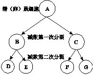 （圖）原理