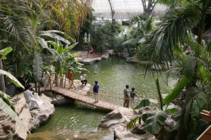 天津熱帶植物觀光園