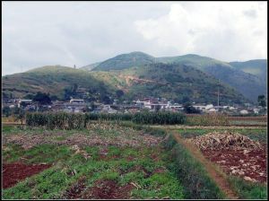 觀音山大營村全貌