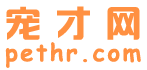 寵才網logo