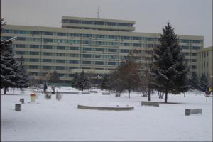 東北農業大學成棟學院