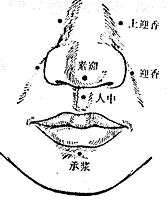 素髎