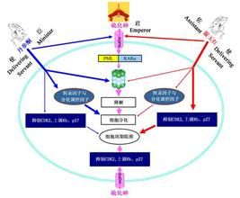 財務協同效應