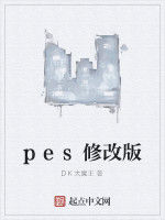 pes修改版