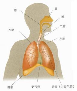 先天性腹膜疝