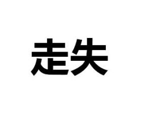 走失[漢語詞語]