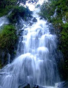 呀諾達雨林文化旅遊區[柏文演唱的歌]