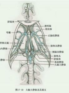 血管痙攣