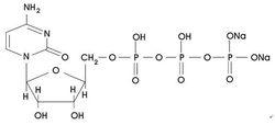 三磷酸胞苷二鈉