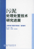 污泥處理處置技術研究進展