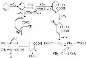 多環芳烴化合物