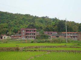 劉林村[福建省南安市碼頭鎮下轄村]