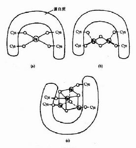 鐵流蛋白結構