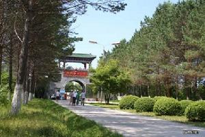 上海松鶴公園