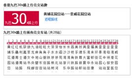 香港公交九巴30x路