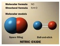 一氧化氮分子圖