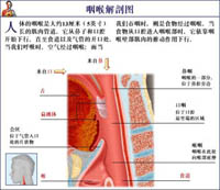 急性咽炎