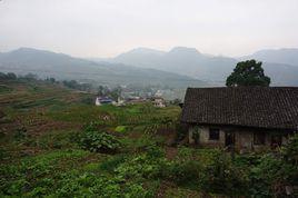 楊梅山村[雲南省保山龍陵縣龍山鎮楊梅山村]