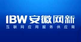 安徽網新科技有限公司