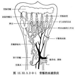 鏈球菌咽喉炎