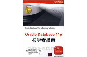 Oracle Database 11g