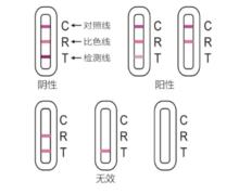 詳細結果顯示測試卡