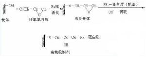 溴化氰活化