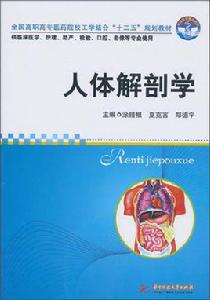 人體解剖學[2010年華中科技大學出版社出版的圖書]