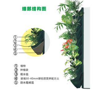 鋪貼式植物牆安裝方式