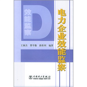 電力企業效能監察