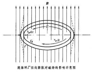 磁凍結定理