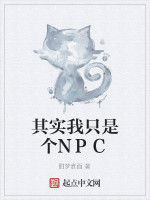 其實我只是個NPC